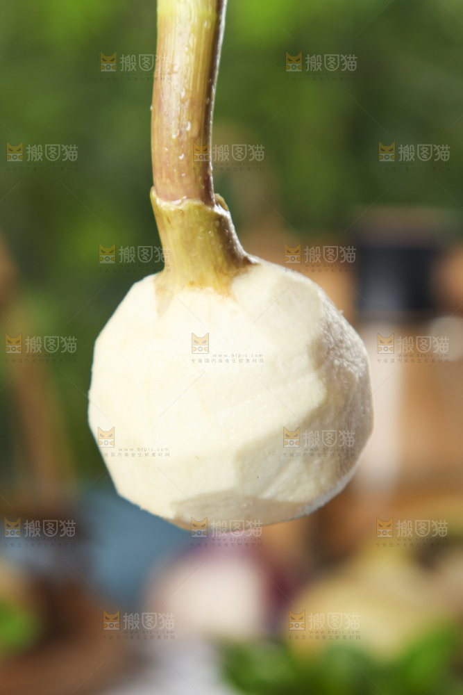 手里拿着白慈菇