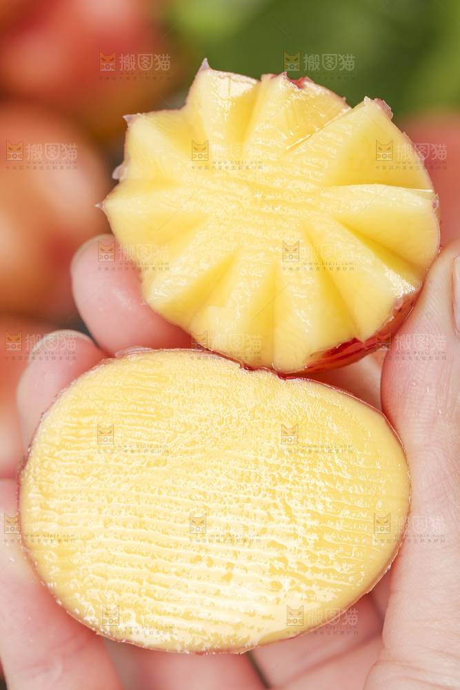 手里拿着红皮土豆