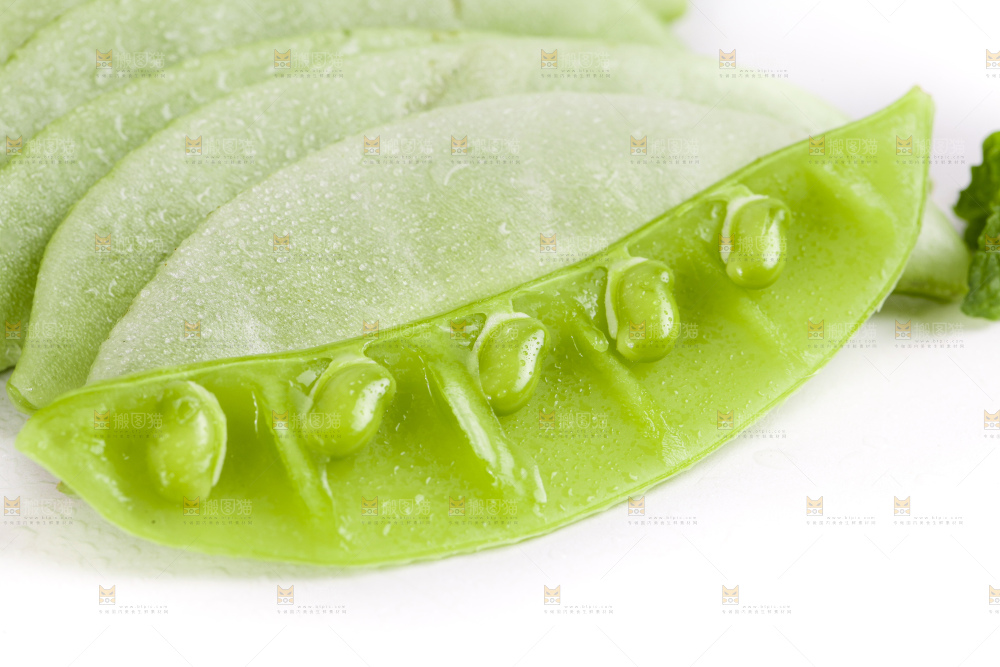 白底上放着扁豆