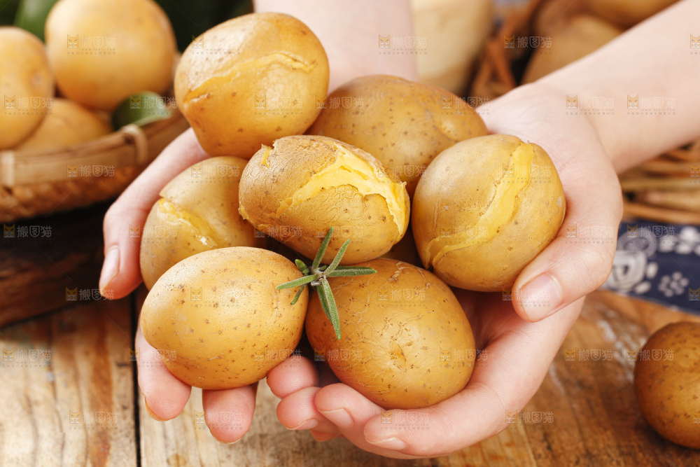 深底上的宜昌小土豆