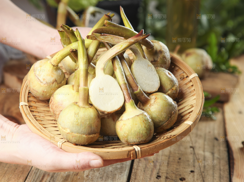 篮子里放着茨菇