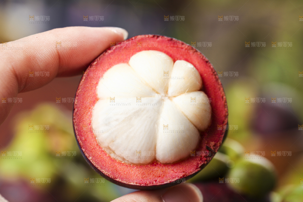 手里拿着山竹果