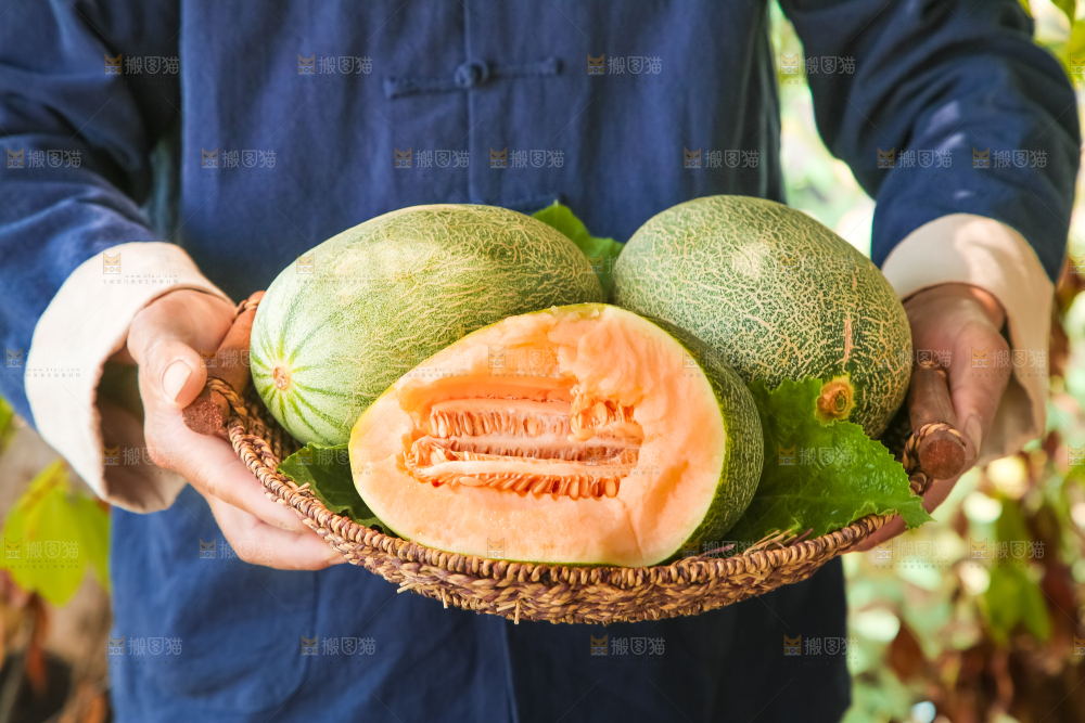 手里端着一篮网纹瓜