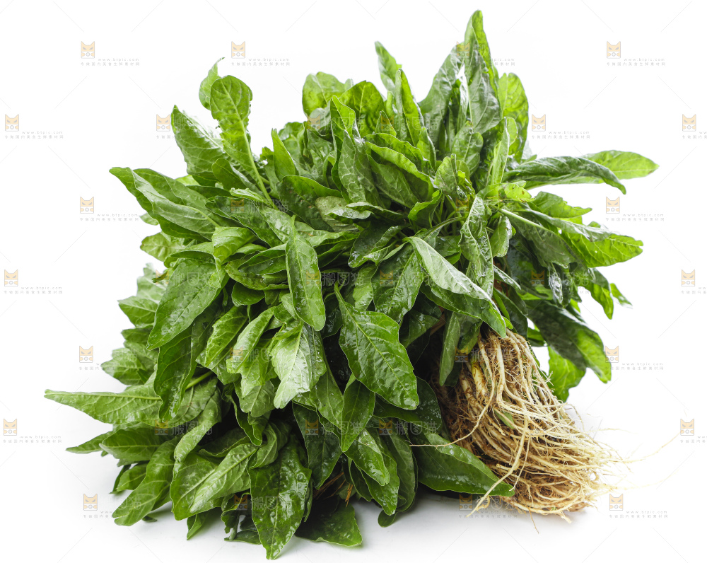 白底上放着一把苋菜