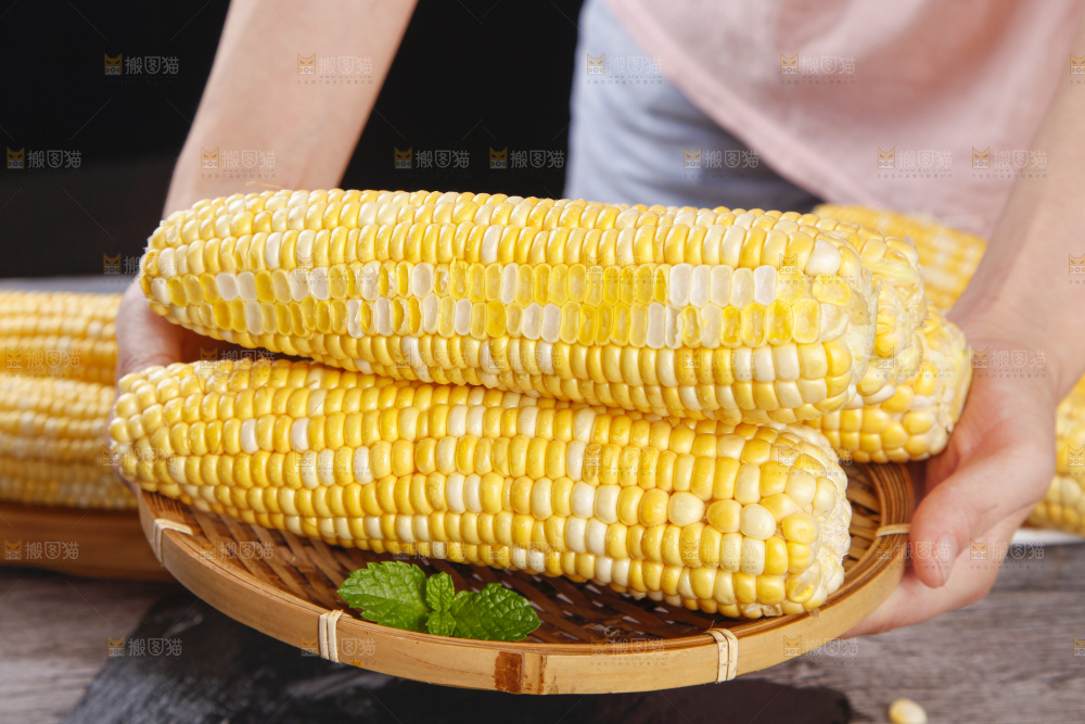 手里拿着新鲜玉米