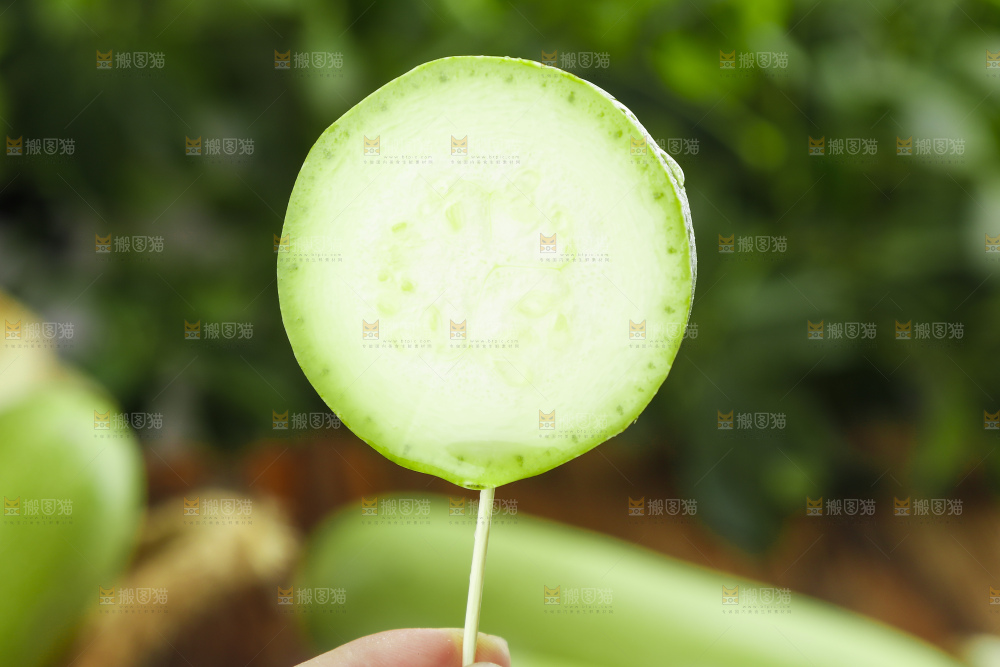 手里拿着西葫芦瓜