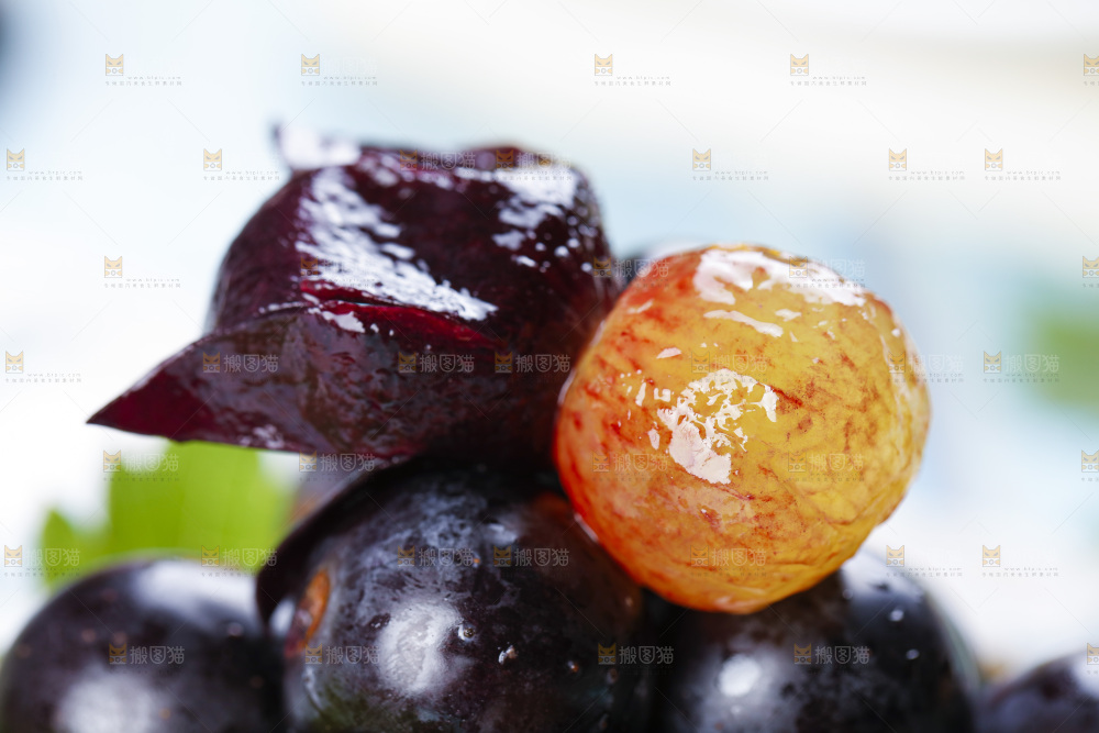 手里拿着云南夏黑葡萄