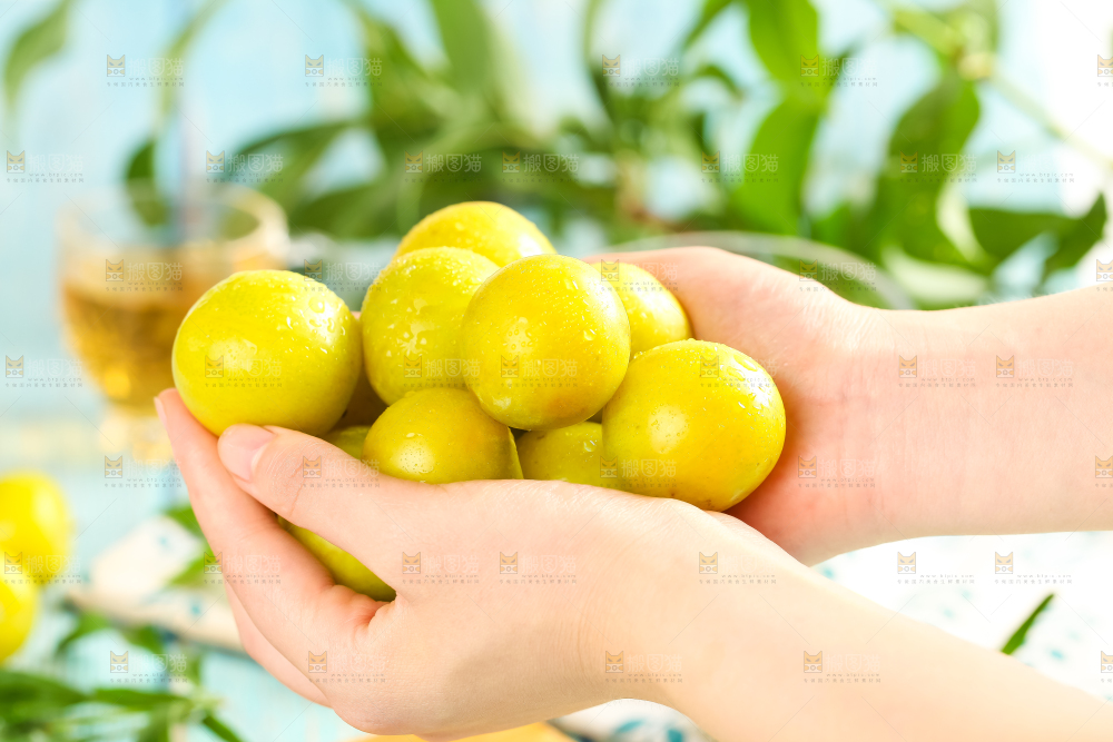 手里拿着新鲜黄金奈李