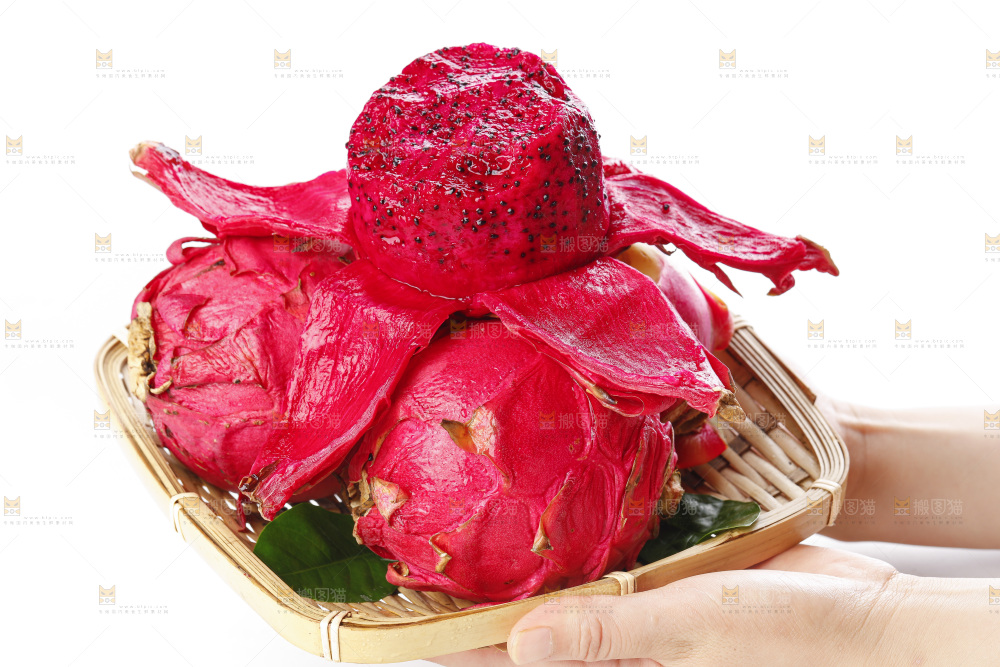 手里捧着新鲜火龙果肉