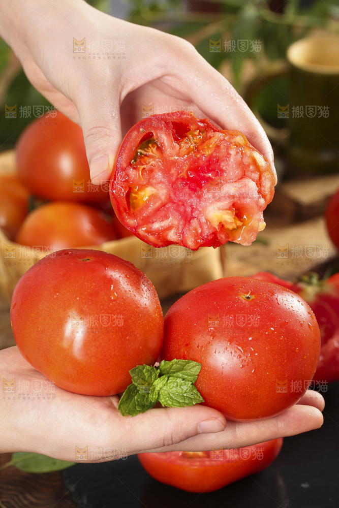 手里拿着沙瓤西红柿