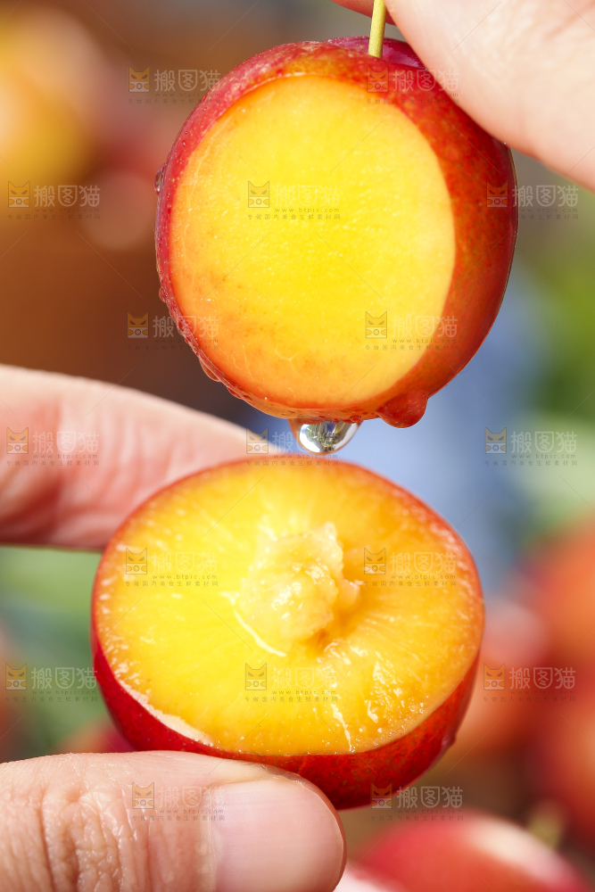 手里拿着脆李子