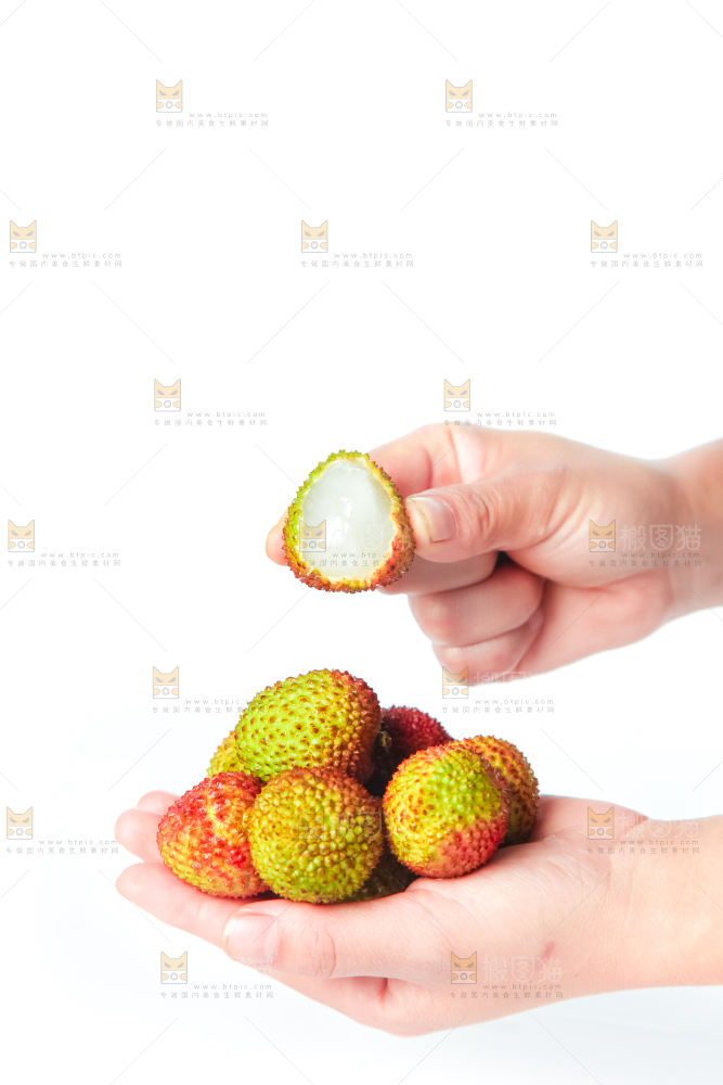 手里拿着妃子笑荔枝