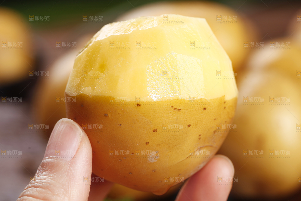 深底上的宜昌小土豆