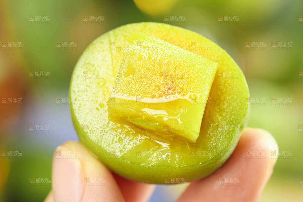 手里拿着脆酸青杏