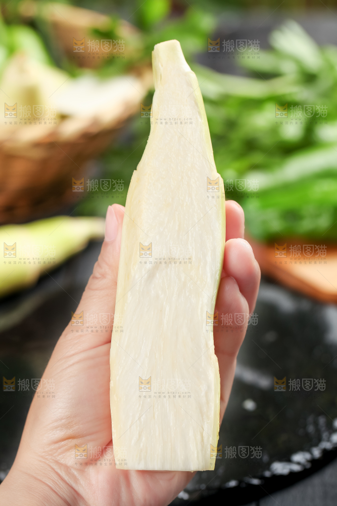 手里拿着湖北新鲜茭白