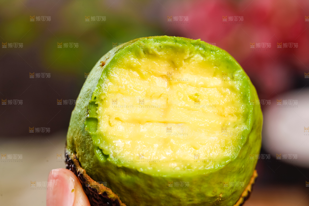 浅底上的巨无霸牛油果