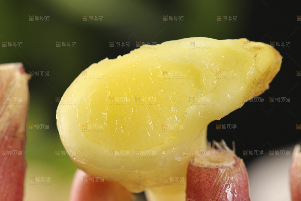 深底上放着嫩姜