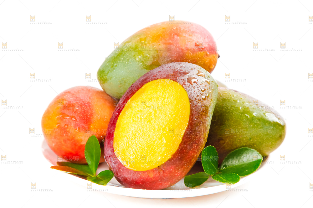 白底上的四川吉禄芒