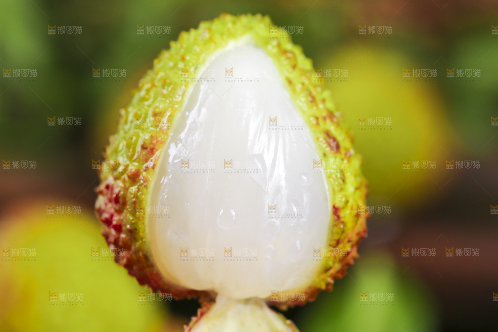 手里拿着妃子笑荔枝