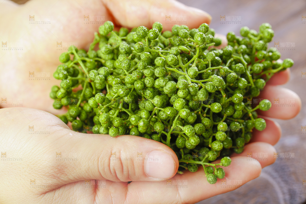 手里拿着青花椒