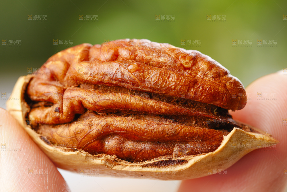 手里拿着长寿果