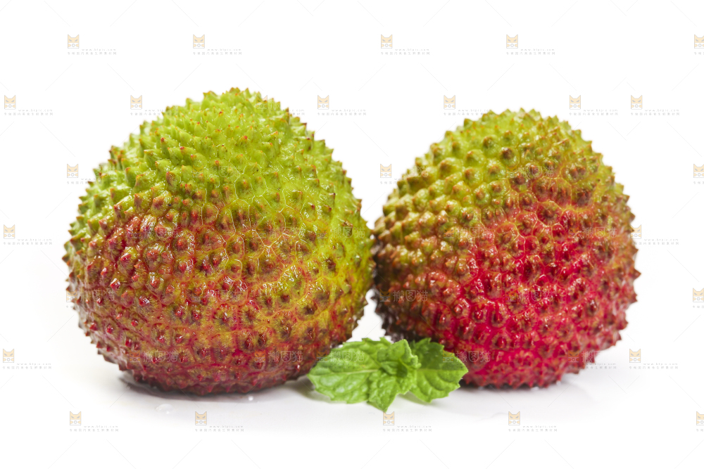 白底上摆放着妃子笑荔枝
