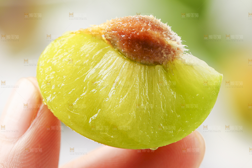 石板上摆放着四川茵红脱骨李
