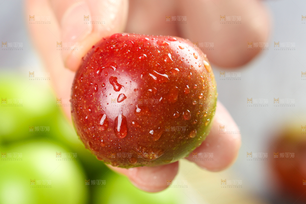 手里拿着脆红李