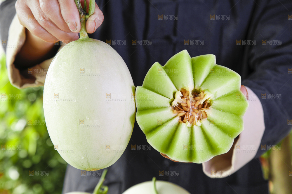 手里拿着新鲜玉菇香瓜