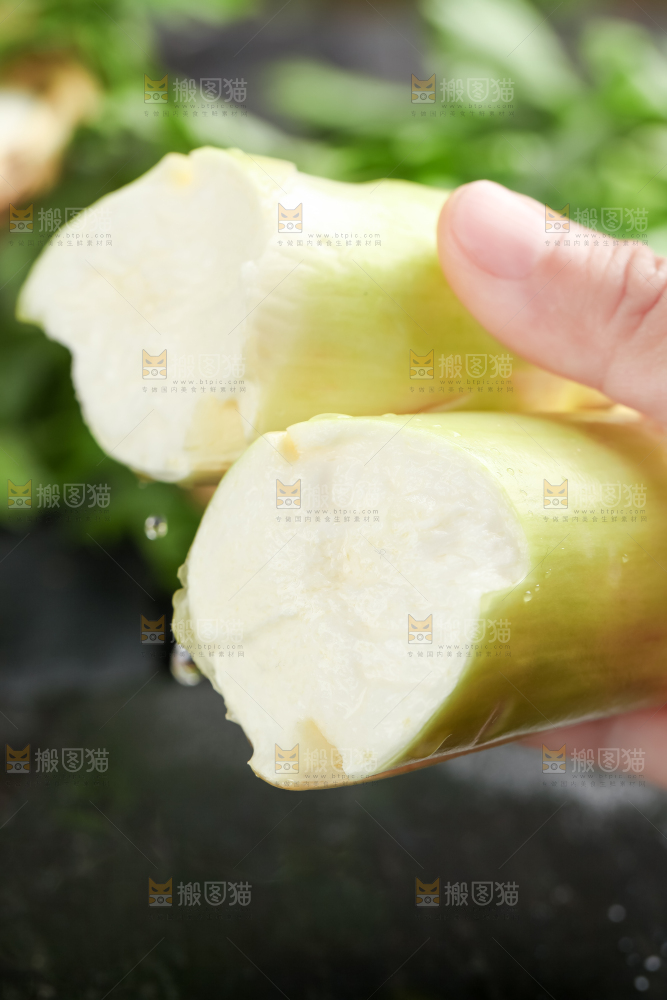 手里拿着湖北新鲜茭白