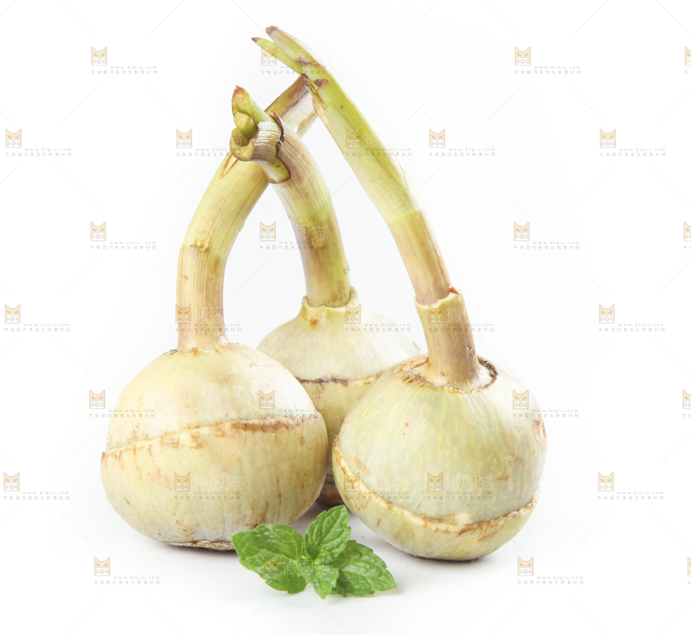 白底上放着茨菇