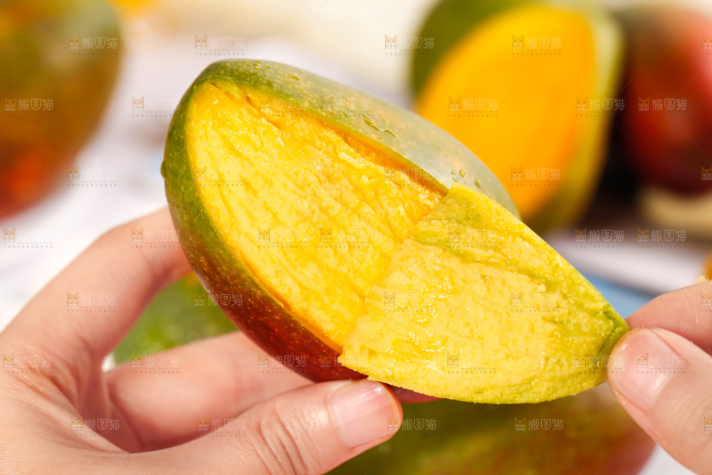 白底上放着吉禄芒