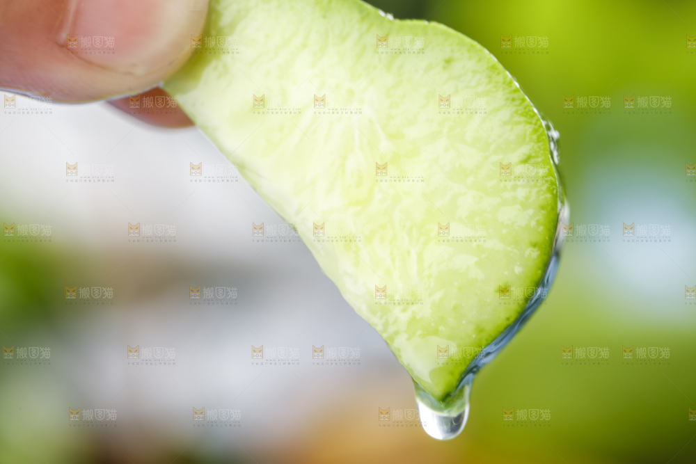 手里拿着青瓜