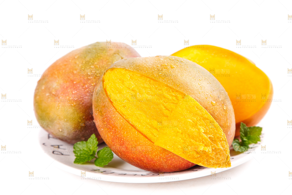 白底上的四川吉禄芒