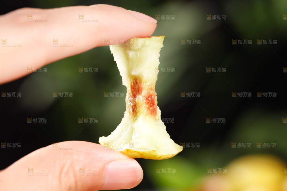 手里拿着沾化冬枣