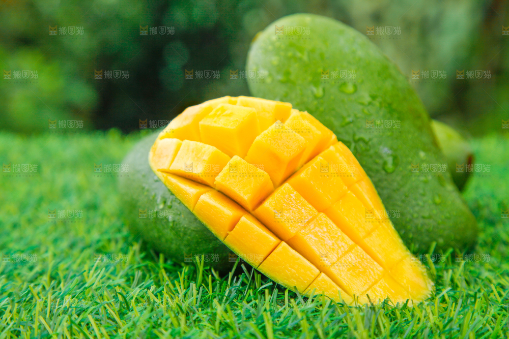 草地上放着青皮桂七芒