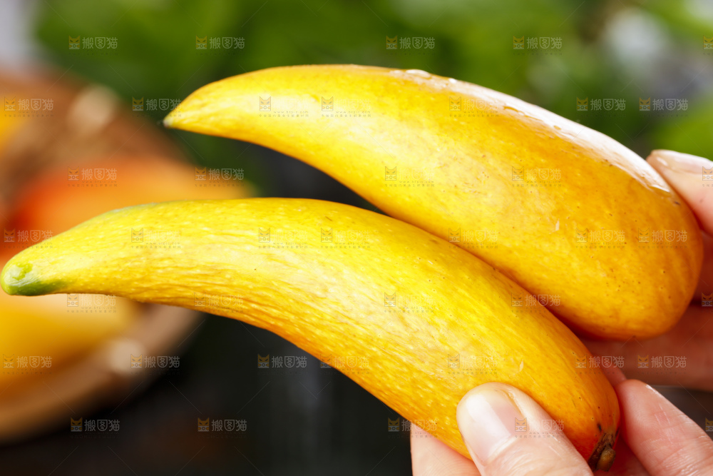 手里拿着新鲜芒果