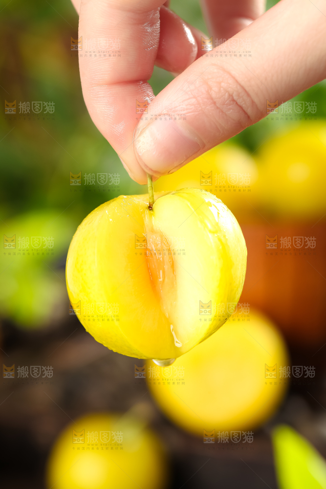 手里拿着黄金奈李