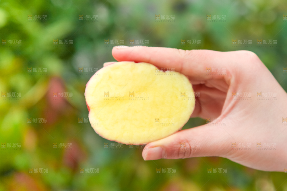 手里拿着土豆