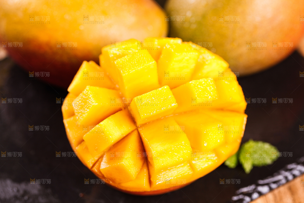石板上的四川吉禄芒