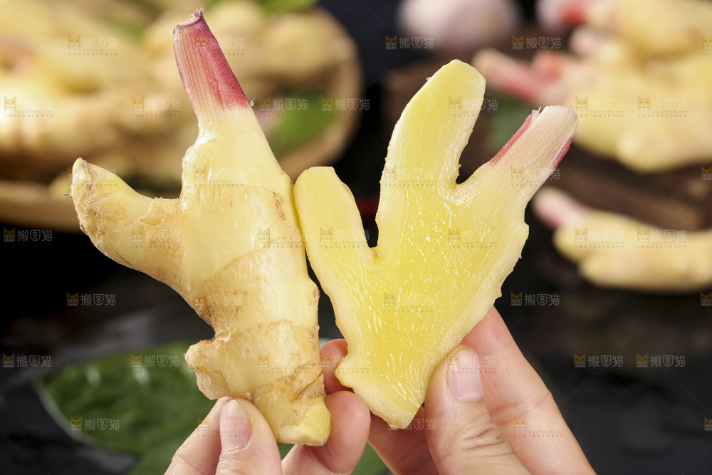 手里拿着红芽姜