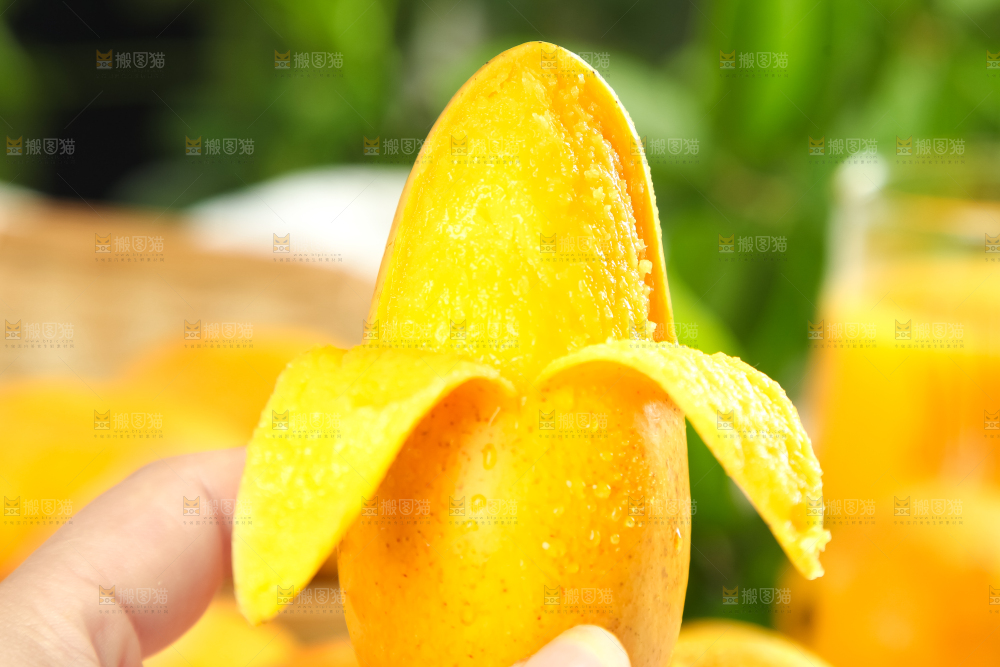手里拿着芒果