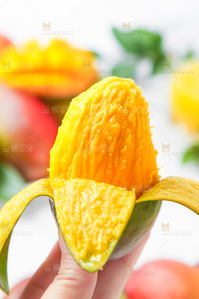 白石板上摆放着四川吉禄芒