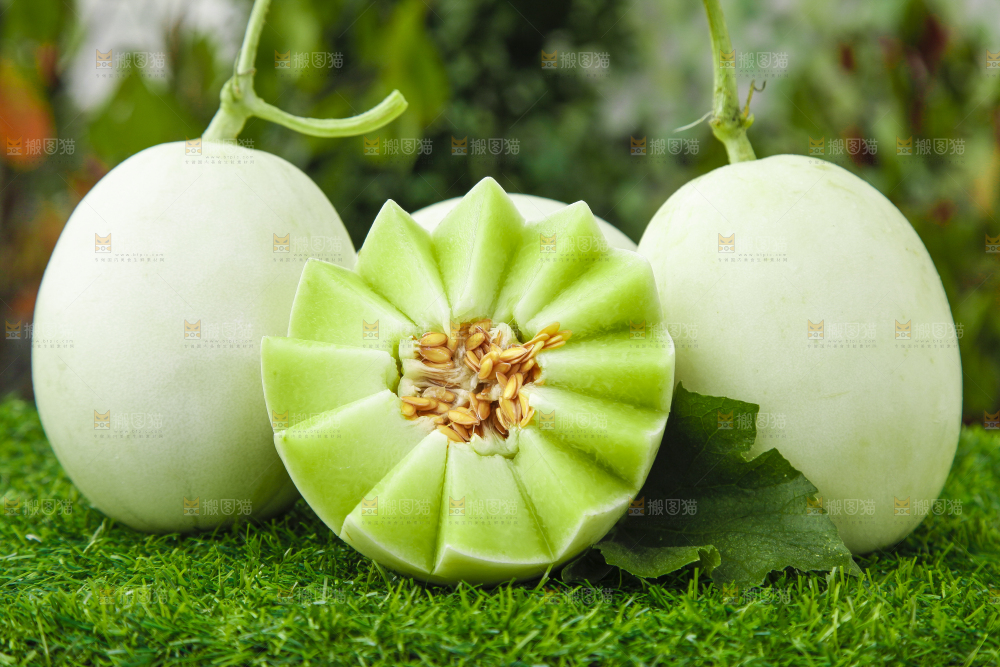 绿草地上摆放着玉菇甜瓜