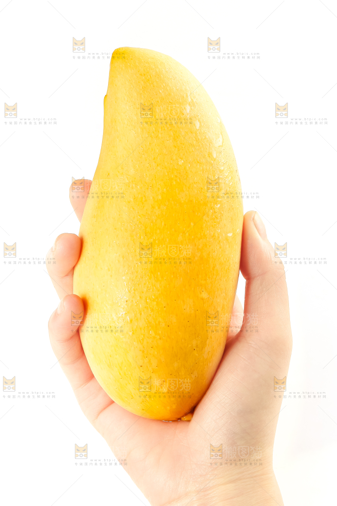 手里拿着鹰嘴芒