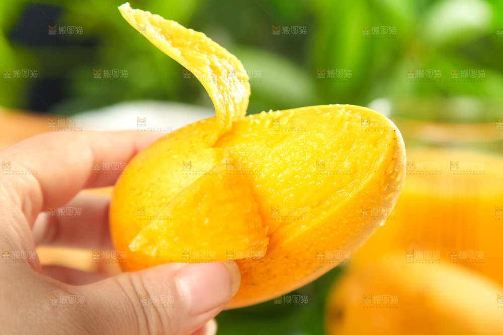 手里拿着芒果