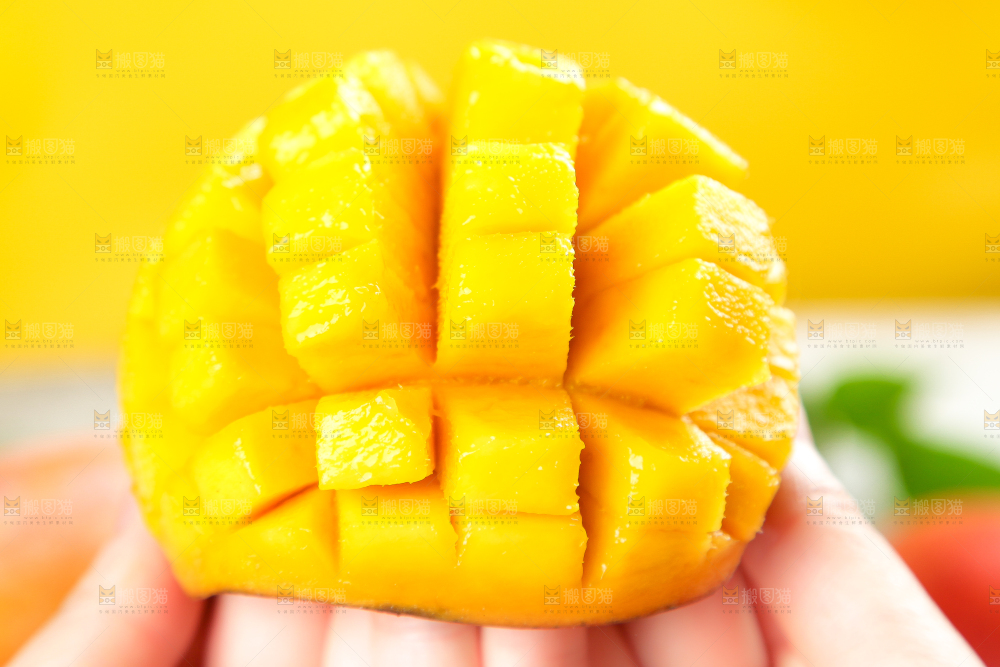 手里拿着爱文芒