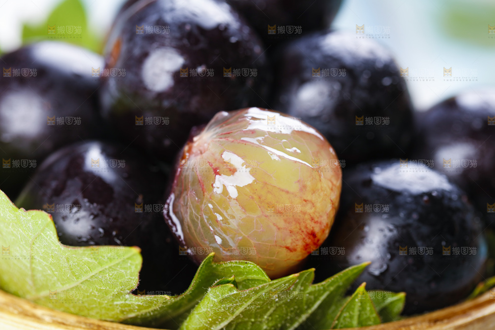 篮子里放着紫葡萄