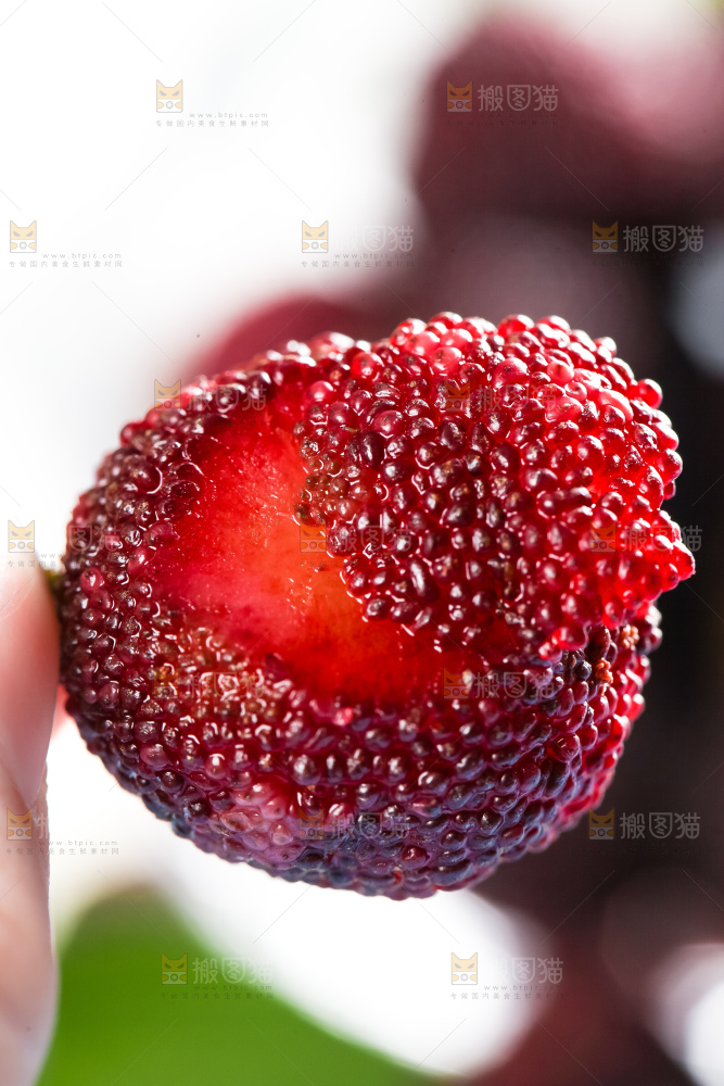 手里拿着荸荠杨梅