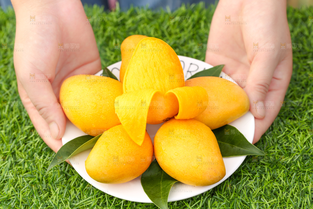 盘子里的小台农芒果